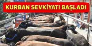 Doğu’dan kurbanlık sevkiyatları başladı