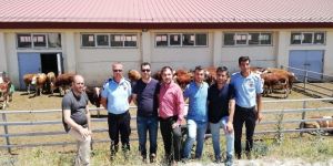 Kestel ve Develi Tarım ve Orman İl heyeti Narman'da buluştu