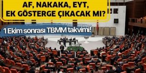 Af, Nafaka, EYT, Taşeron ve 3600 ek gösterge çıkacak mı,.