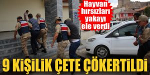 Hayvan hırsızlığı yapan 9 kişi yakalandı