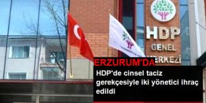 Tekman, HDP’de cinsel taciz ihracı