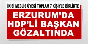 HDP'li Karayazı Belediye Başkanı gözaltına alındı