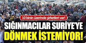 Suriyeli sığınmacılar ülkelerine dönmek istemiyor