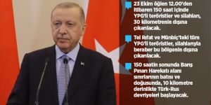 Erdoğan: YPG'li teröristler silahlarıyla beraber bölgenin dışına çıkarılacak