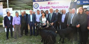 Muğla Büyükşehirden kadın üreticilere “Kıl Keçisi” desteği