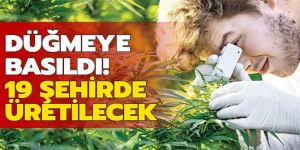 19 şehirde Hint keneviri üretilecek