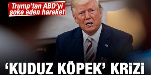 Trump'tan tepki çeken açıklama: Yavaş olabilir ama kuduz köpek değil