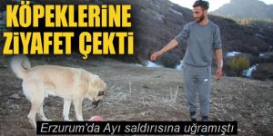 Kendisini ayıdan kurtaran köpeklerine ziyafet çekti