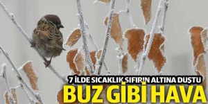 7 ilde sıcaklık gece sıfırın altına düştü