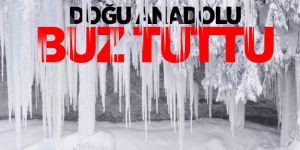 Doğu Anadolu buz tuttu