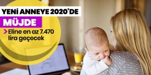 Yeni anneye 2020'de 7.470 lira