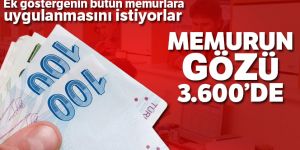 Memurun gözü 3.600'de!