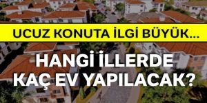 Erzurum'a 2 bin 500 konut!