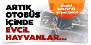 Toplu taşımada, evcil hayvanlar taşıt içinde taşınabilecek