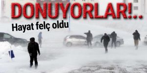 Doğu Anadolu'da dondurucu soğuklar etkili oluyor