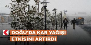 Doğu'daki 4 ilde kar yağışı etkili oldu