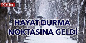 Kar ve tipi yolları kapattı, hayat durma noktasına geldi