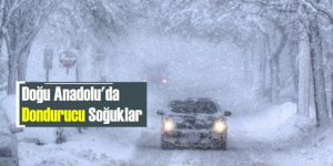 Doğu'da soğuk hava ve tipi hayatı olumsuz etkiliyor