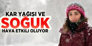 Doğu'da kar yağışı ve soğuk hava etkisini sürdürüyor