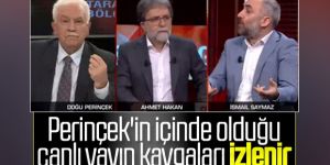 Doğu Perinçek ve İsmail Saymaz arasında çok sert tartışma: PKK'yı ziyaret eden Perinçek'ten mi öğreneceğiz