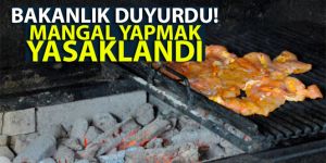 Bakanlık duyurdu! Mangal yapmak yasaklandı