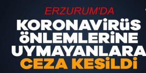 Erzurum'da koronavirüs tedbirlerine uymayan 5 kişiye para cezası kesildi