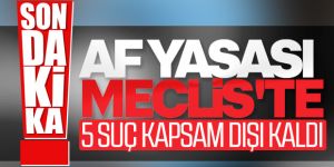 İnfaz düzenlemesi Meclis'te