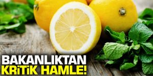 Bakanlıktan kritik limon hamlesi! Yürürlüğe girdi