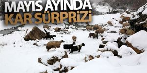 Mayıs ayında kar ve tipi sürprizi