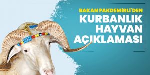 Bakan Pakdemirli'den kurbanlık hayvan açıklaması