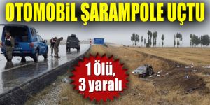 Erzurum'da otomobil şarampole uçtu: 1 ölü, 3 yaralı