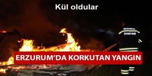 Erzurum'da 5 ahır yandı