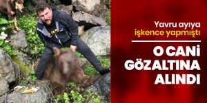 Yavru ayıya işkence yapan cani gözaltına alındı