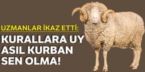 Uzmanlar ikaz etti: Kurallara uy asıl kurban sen olma!