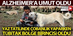 Umut çoban, Alzheimer'a umut oldu