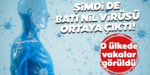 Şimdi de Batı Nil Virüsü ortaya çıktı!