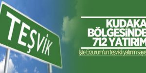 KUDAKA bölgesinde 712 yatırım