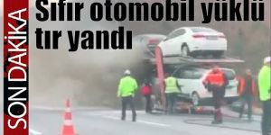 Otomobil taşıyan tır yandı