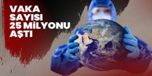 Koronada tespit vaka sayısı dünya genelinde 25 milyonu aştı