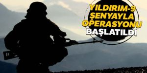 'Yıldırım-9 Şenyayla Operasyonu' başlatıldı