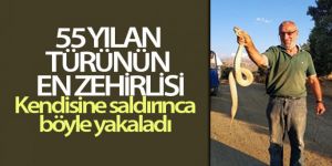 Kendisine saldıran ölümcül zehirli yılanı boğazından yakaladı