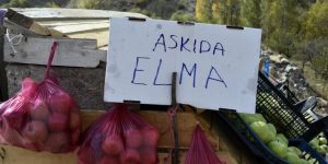 Karayolu kenarında ‘Askıda Elma’