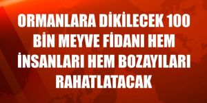 Ormanlara dikilecek 100 bin meyve fidanı hem insanları hem bozayıları rahatlatacak