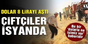 Dolar 8 lirayı aştı, çiftçiler zorda