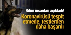 Köpekler, koronavirüs tespitinde testlerden daha başarılı