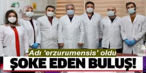 Yeni bakteri cinsi ve türü keşfedildi