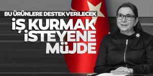 İş kurmak isteyene müjde! Bu ürünler desteklenecek