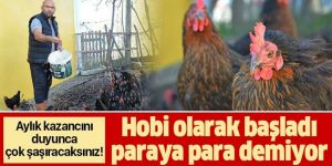 Hobi olarak başladığı tavukçulukta 3 bin hayvana ulaştı!