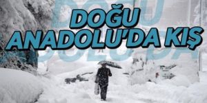 Doğu'da dondurucu soğuklar yaşamı zorlaştırıyor