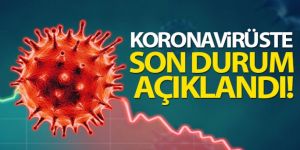 Türkiye'de son 24 saatte 9.554 koronavirüs vakası tespit edildi